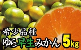 【ふるさと納税】【2024年10月上旬より発送予定】【農家直送】甘くて濃厚！希少品種 ゆら早生みかん　約5kg  有機質肥料100% サイズ混合 