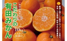 【ふるさと納税】【農家直送】有田みかん　約10kg  大玉3L以上　有機質肥料100%　※2023年12月初旬〜1月中旬に順次発送(お届け日指定不可