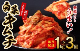 【ふるさと納税】定期便 白菜キムチ 1kg × 3回 大好評 韓国【毎月配送コース】 099Z120