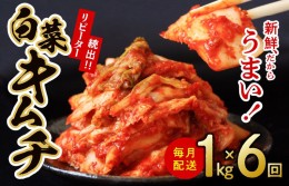 【ふるさと納税】定期便 白菜キムチ 1kg × 6回 大好評 韓国【毎月配送コース】 099Z121