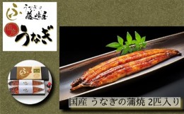 【ふるさと納税】国産 うなぎの蒲焼 2匹入り【藤？屋】