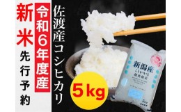 【ふるさと納税】【令和6年度産新米・先行予約】佐渡羽茂産コシヒカリ 5kg