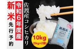 【ふるさと納税】【令和6年度産新米・先行予約】佐渡羽茂産コシヒカリ 5kg×2袋セット