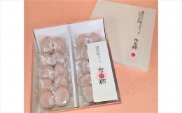 【ふるさと納税】A-88【先行予約受付】【市田柿専門店　金の柿】白箱「秀品」450g(2個包装10袋入り)