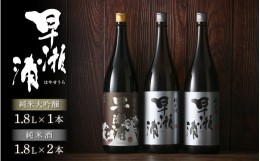 【ふるさと納税】【早瀬浦】純米大吟醸 1800ml × 1本 ＆ 純米酒 1800ml × 2本 セット【入手困難 飲み比べ 日本酒 地酒 福井 美浜 早瀬 