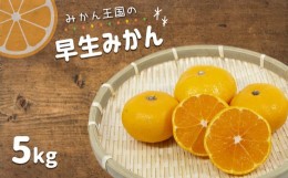 【ふるさと納税】『 みかん王国 』 の 早生みかん 5kg | フルーツ 果物 くだもの 柑橘 柑橘類 みかん ミカン 早生ミカン 熊本県 玉名市