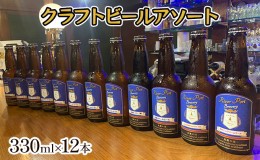 【ふるさと納税】クラフトビールアソート12本セット