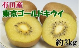 【ふるさと納税】【数量限定】キウイフルーツの新品種「東京ゴールドキウイ」約3kg（サイズ混合）★2024年12月中旬頃より順次発送