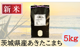 【ふるさと納税】61-01 あきたこまち 5kg 数量限定 精米 令和6年 新米 予約 2024年 8月中旬頃から発送予定