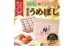 【ふるさと納税】紀州南高梅《絆》はちみつ梅 塩分3%(20粒)【白浜グルメ市場】