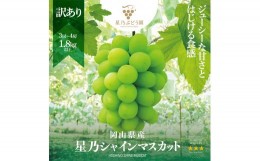 【ふるさと納税】【訳あり】星乃シャインマスカット(岡山県産)　3〜4房(1.8kg以上) シャインマスカット ぶどう 葡萄 ブドウ 果物 フルー