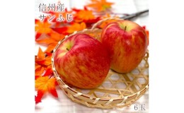 【ふるさと納税】2024年先行予約  サンふじりんご６玉 長野県産