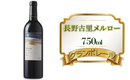 【ふるさと納税】グランポレール　長野古里メルロー　750ml