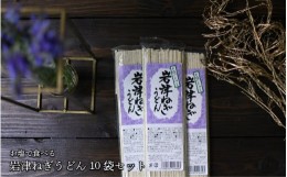 【ふるさと納税】お塩で食べる　岩津ねぎうどん　10袋セット