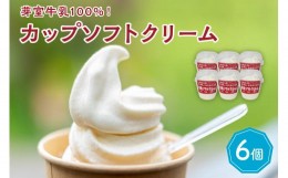 【ふるさと納税】北海道十勝芽室町　あいす屋さんの牛乳ソフトクリーム　6個入り me008-006c