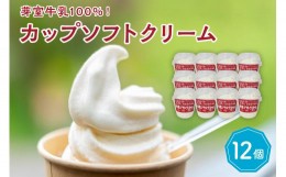 【ふるさと納税】北海道十勝芽室町　あいす屋さんの牛乳ソフトクリーム　12個入り me008-008c