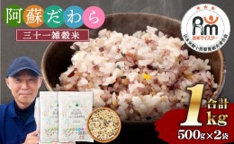 【ふるさと納税】熊本県産 三十一雑穀米 1kg (500g×2) 阿蘇だわら お米 雑穀米 熊本県 高森町 国産