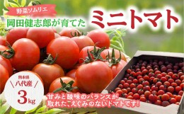 【ふるさと納税】野菜ソムリエ岡田健志郎が育てた ミニトマト 3kg