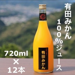 【ふるさと納税】【搾りたて発送】和歌山産　有田みかん100%ジュース 720ml×12本 無添加ストレート ※着日指定不可 ※北海道・沖縄・離