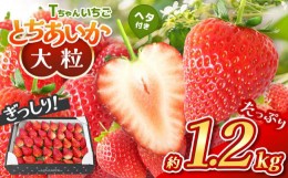 【ふるさと納税】【先行予約】ぎっしり とちあいか 1.2kg 大粒(サイズ不揃い)　