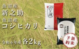 【ふるさと納税】＜令和6年産新米予約＞中魚沼産「新之助」2kg ＋ 魚沼産コシヒカリ「金印」2kg 食べ比べセット