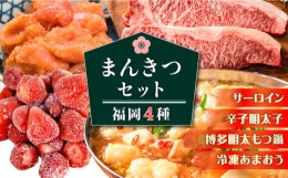 【ふるさと納税】福岡満喫セット 《築上町》【株式会社MEAT PLUS】 [ABBP118] 45000円 