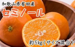 【ふるさと納税】和歌山有田産セミノールオレンジ約5kg(サイズ混合)★2025年４月中旬頃より順次発送【TM53】