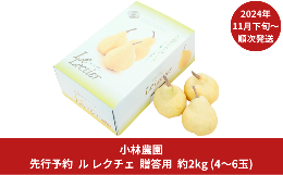 【ふるさと納税】先行予約 ル レクチェ 約2kg [11月下旬から発送予定]  4〜6玉 幻の西洋梨 ル・レクチェ 洋梨の貴婦人 新潟県産 洋梨 [小