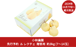 【ふるさと納税】先行予約 ル レクチェ約3kg [11月下旬から発送予定] 7〜14玉 洋梨の貴婦人 ル・レクチェ 幻の西洋梨 新潟県産 洋梨   [