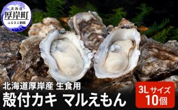 【ふるさと納税】北海道厚岸産 生食用　殻付カキ3Lサイズ10個　マルえもん