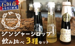 【ふるさと納税】ジンジャーシロップ飲み？べ3種セット(120ML×3本) HW-1 【沖縄県石垣市 沖縄 沖縄県 琉球 八重山 八重山諸島 石垣 石垣