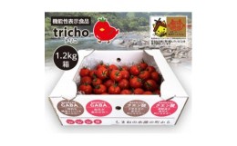 【ふるさと納税】高糖度フルーツトマト「tricho(トリコ)」1.2kg【1420206】