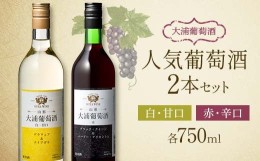 【ふるさと納税】大浦葡萄酒 人気葡萄酒 750ml×2本セット 『(有)大浦葡萄酒』 赤ワイン 白ワイン 甘口 辛口 酒 山形県 南陽市 [1893]