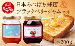 【ふるさと納税】日本みつばち 蜂蜜「天使の宝」＆無農薬 「ブラックベリー ジャム」 セット 【希少 ニホンミツバチ 高純度 垂れ蜜 ハチ