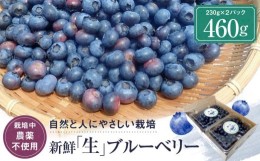 【ふるさと納税】【先行受付:2024年発送】新鮮「生」ブルーベリー500g（250g×２パック）（栽培中農薬不使用） 【治助ファーム LJ001】