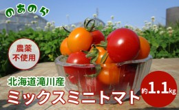 【ふるさと納税】【栽培期間中 農薬不使用 】 北海道 滝川市 産 ミックス ミニトマト 約1.1kg トマト 野菜 やさい みにとまと