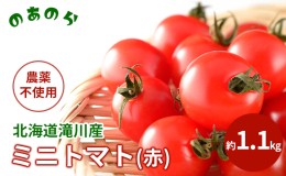 【ふるさと納税】【栽培期間中 農薬不使用 】 北海道 滝川市 産 ミニトマト (赤) 約1.1kg トマト 野菜 やさい みにとまと