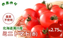 【ふるさと納税】【栽培期間中 農薬不使用 】 北海道 滝川市 産 ミニトマト (赤) 約2.75kg トマト 野菜 やさい みにとまと