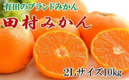 【ふるさと納税】【ブランドみかん】田村みかん約10kg（2Lサイズ）★2024年11月下旬頃より順次発送【TM108】