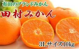 【ふるさと納税】【ブランドみかん】田村みかん約10kg（3Lサイズ）★2024年11月下旬頃より順次発送【TM107】