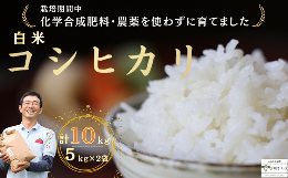 【ふるさと納税】炊きあがりのつやと香りが良く、うま味も強い　コシヒカリ　白米10kg　佐久穂とさや農園〔ST-W5-2〕