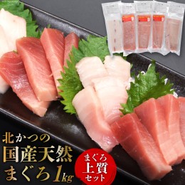 【ふるさと納税】北かつのマグロ上質セット (マグロ中トロ 200g マグロ上質赤身 200g×2 メカジキ 200g びんちょう 200g）合計1kg [北か