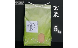 【ふるさと納税】定期便6回丹波篠山産　コシヒカリ　玄米　5kg