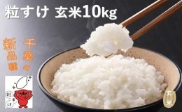 【ふるさと納税】四街道産 粒すけ 10kg 玄米 / お米 つぶすけ 新品種 厳選 米 ごはん ご飯 産地直送