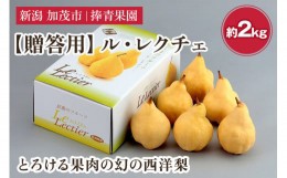 【ふるさと納税】【2024年先行予約】【贈答用】西洋梨 ル・レクチェ 約2kg（5〜7玉） 《11月下旬以降発送》 幻の西洋梨 果実 フルーツ 冬