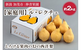 【ふるさと納税】【2024年先行予約】【家庭用】西洋梨 ル・レクチェ 約2kg（5〜7玉） 《11月下旬以降発送》 幻の西洋梨 果実 フルーツ 冬