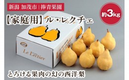 【ふるさと納税】【2024年先行予約】【家庭用】西洋梨 ル・レクチェ 約3kg（7〜10玉） 《11月下旬以降発送》 幻の西洋梨 果実 フルーツ 