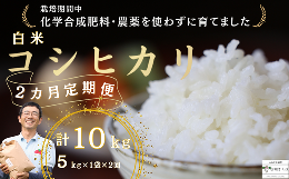 【ふるさと納税】定期便　米　10キロ　炊きあがりのつやと香りが良く、うま味も強い　コシヒカリ　佐久穂とさや農園〔ST-W5-1-T2〕５キロ