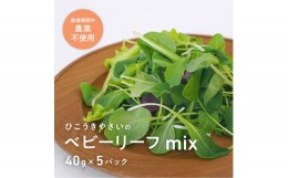 【ふるさと納税】933 葉が柔らかくて、味が濃い！！「岐阜県産」ミックスべビーリーフ【40g】×５セット