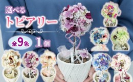 【ふるさと納税】【価格改定予定】数量限定 限定品 トピアリー ブルー 花 インテリア フラワーアレンジメント ギフト 記念 お祝い 母の日